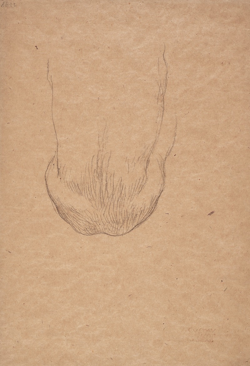 Gustav Klimt - Sitzender männlicher Rückenakt