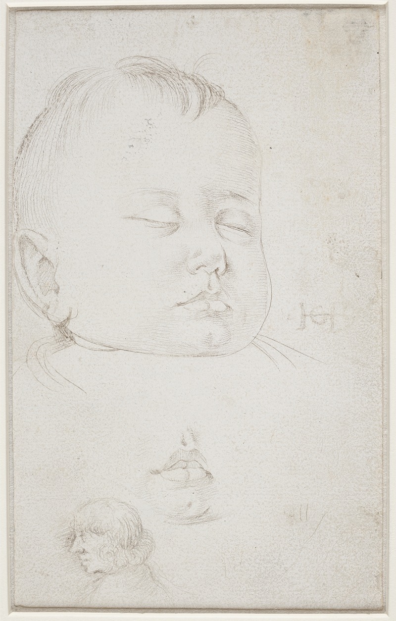 Hans Baldung - Hovedet af en sovende smådreng Trekvartprofil mod højre Herunder barnets halvåbne mund Herunder hovedet af en midaldrene mand i profil mod venstre