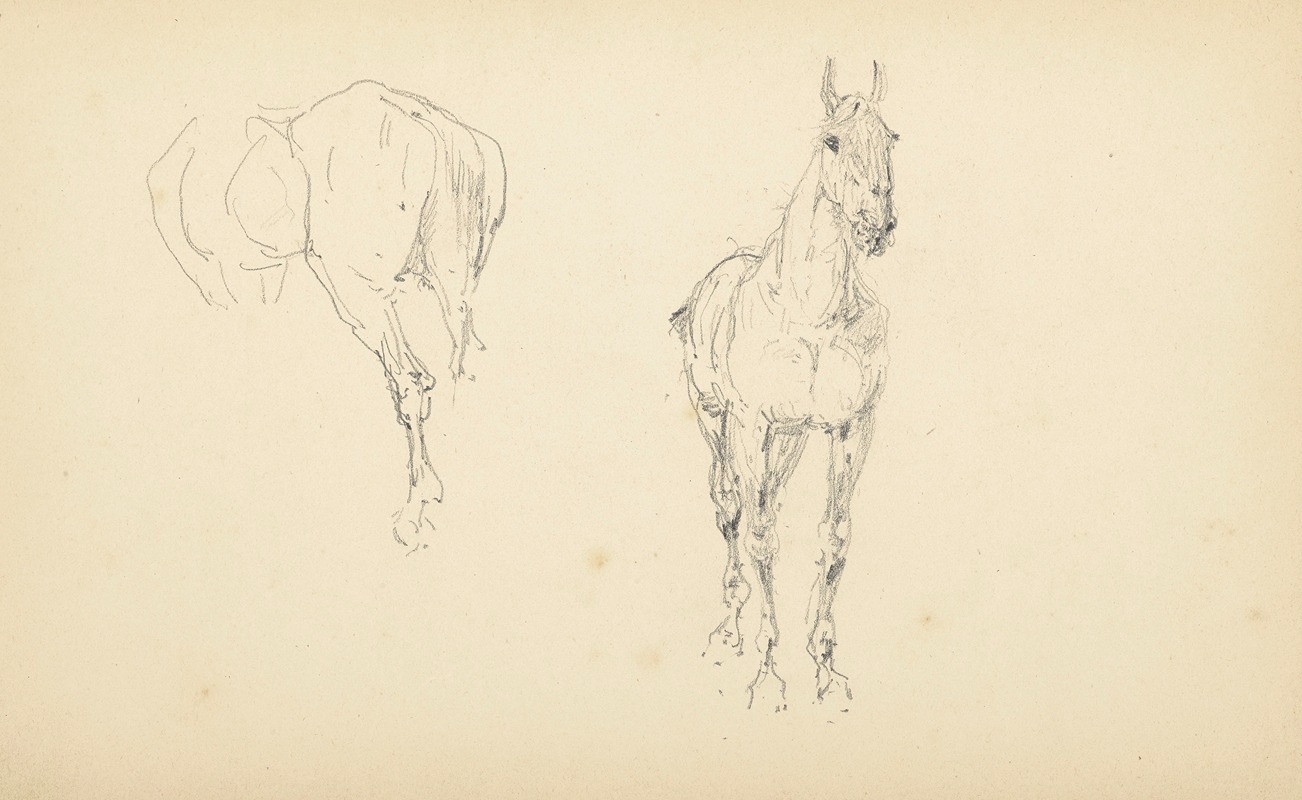Henri de Toulouse-Lautrec - Étude de chevaux