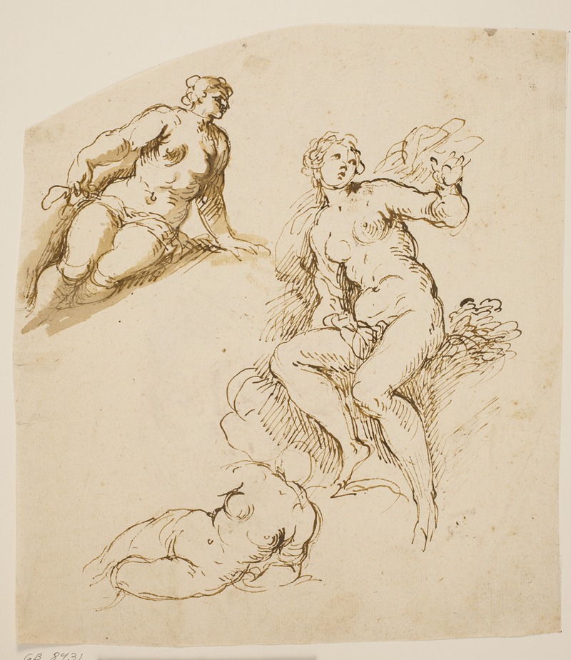 Jacopo Palma il Giovane - Studier af en siddende og to halvtliggende kvinder