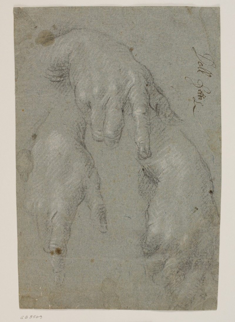Jacopo Palma il Giovane - Tre studier af en højre hånd