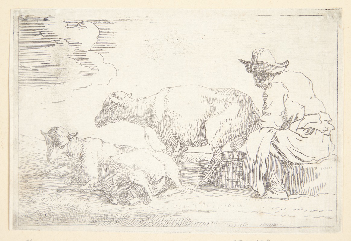 Jan Miel - En fårehyrde malker sine får