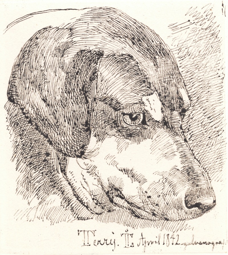 Johan Thomas Lundbye - Hundehoved, Terry