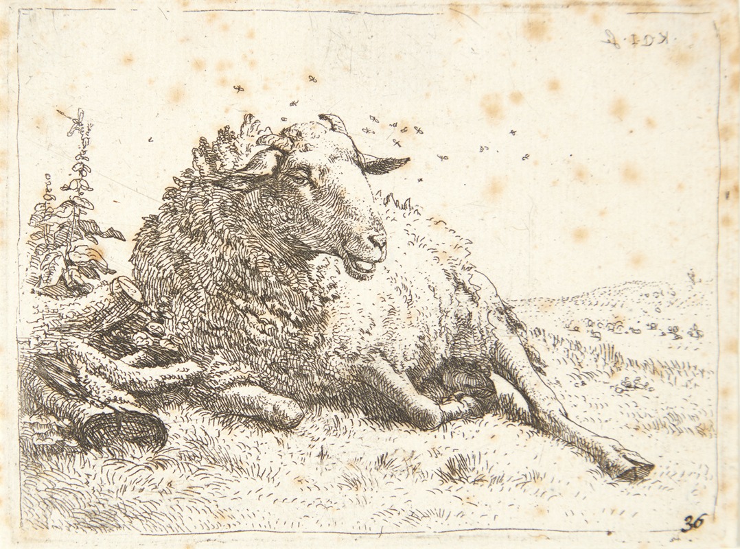 Karel Dujardin - Liggende får ved en træstub