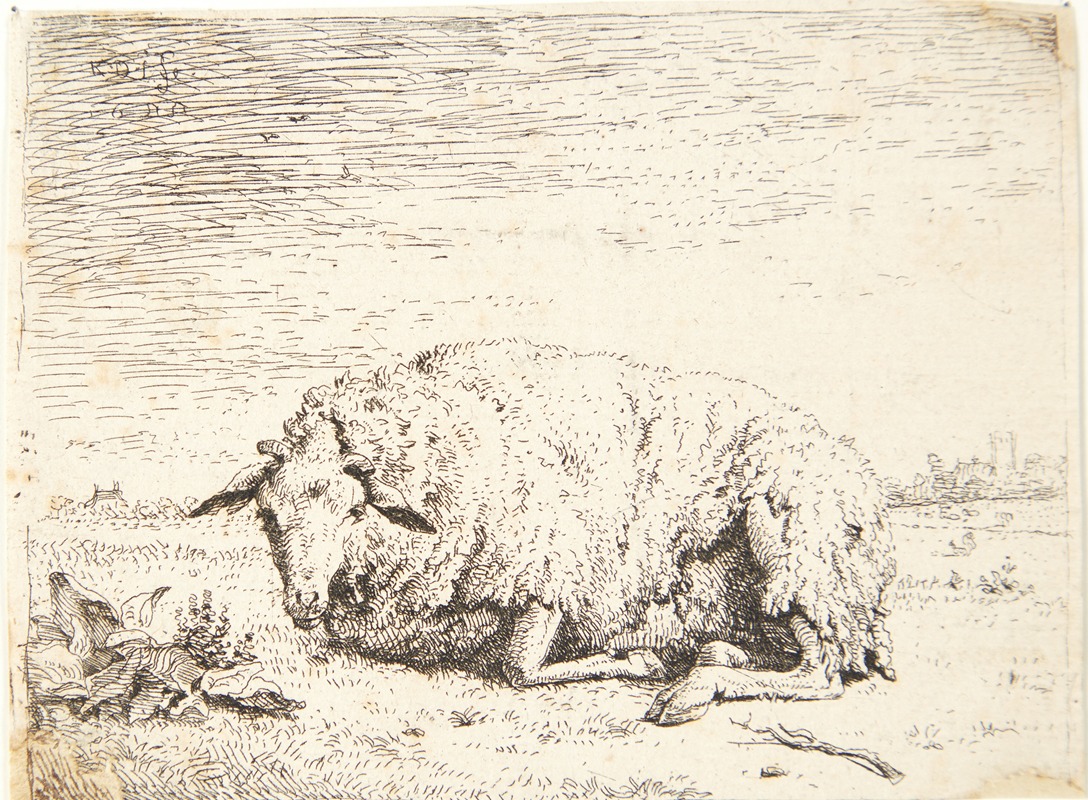 Karel Dujardin - Liggende får