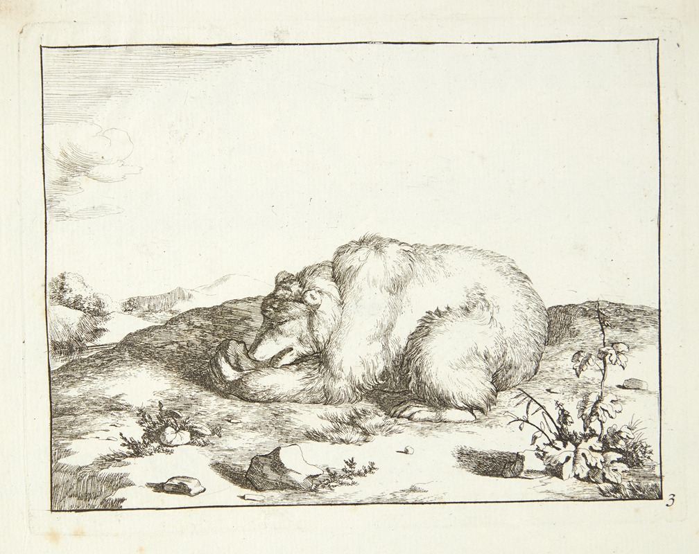 Marcus de Bye - Liggende bjørn, der spiser noget fra sin venstre pote