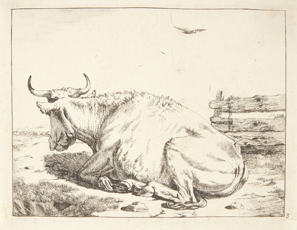 Marcus de Bye - Liggende ko