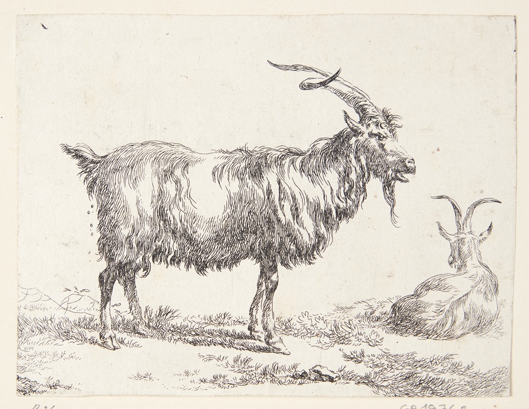 Nicolaes Pietersz. Berchem - En stående og en liggende ged