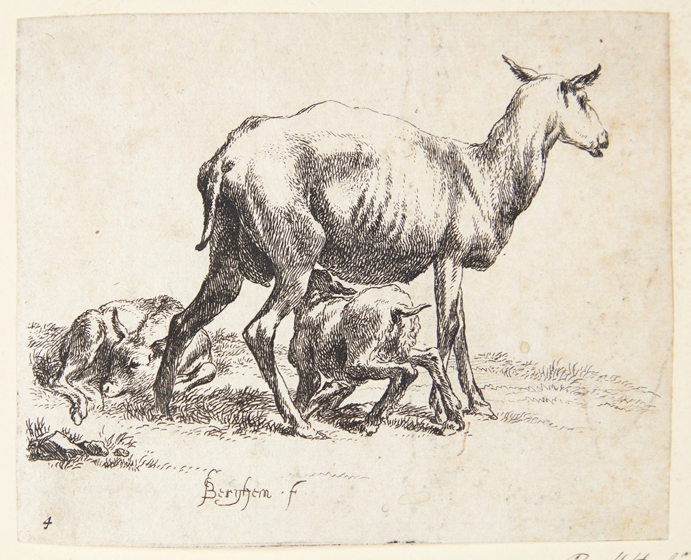 Nicolaes Pietersz. Berchem - Barberet får med to lam