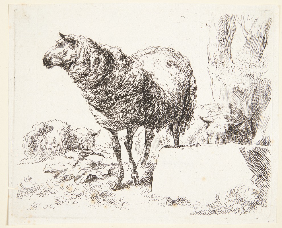 Nicolaes Pietersz. Berchem - Et stående får