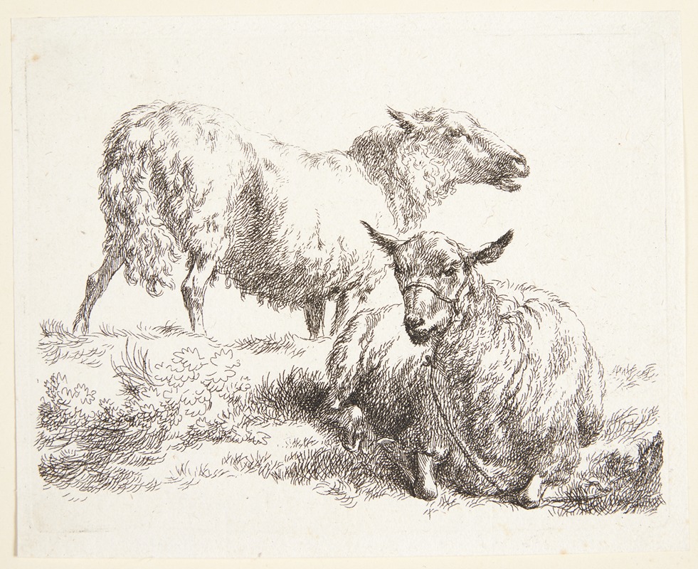 Nicolaes Pietersz. Berchem - Et stående og et liggende får