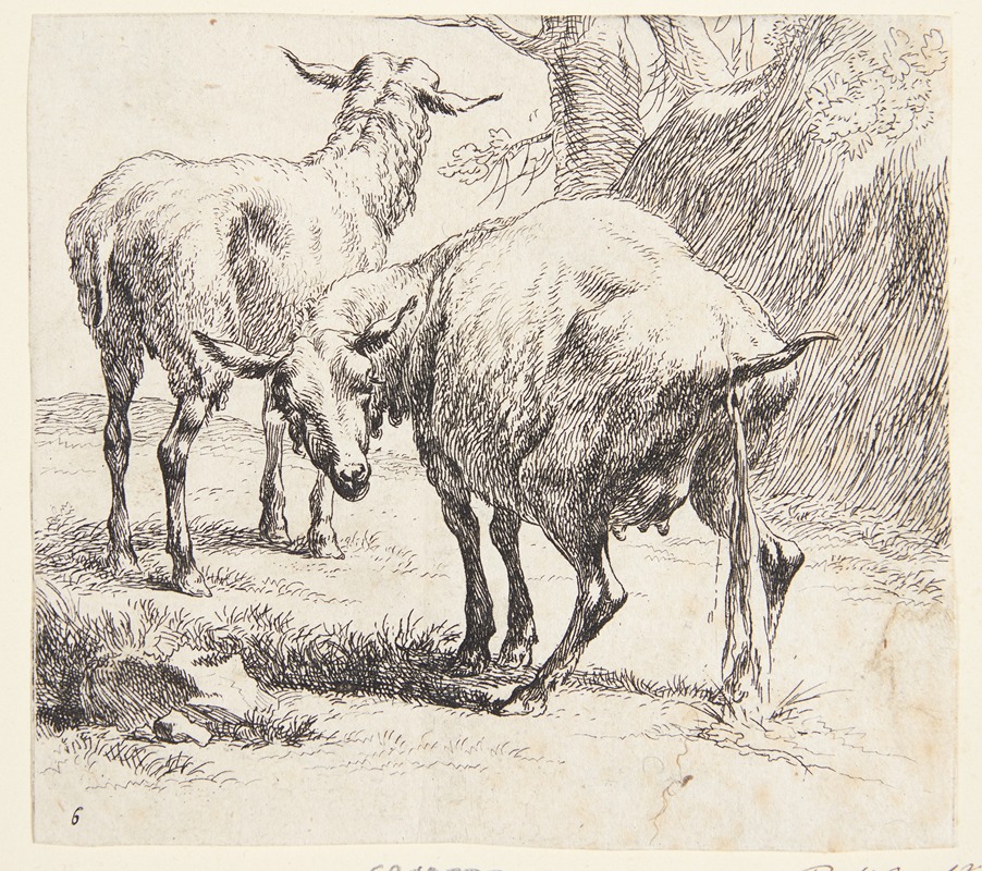 Nicolaes Pietersz. Berchem - Et stående og et pissende får