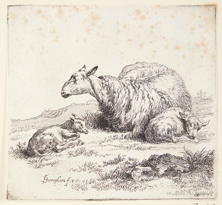 Nicolaes Pietersz. Berchem - Liggende får med to lam