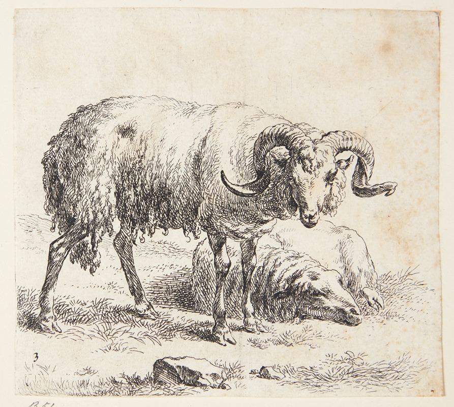 Nicolaes Pietersz. Berchem - Stående vædder og et liggende får 3