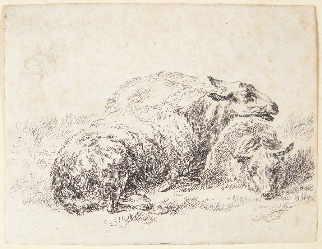 Nicolaes Pietersz. Berchem - To liggende får