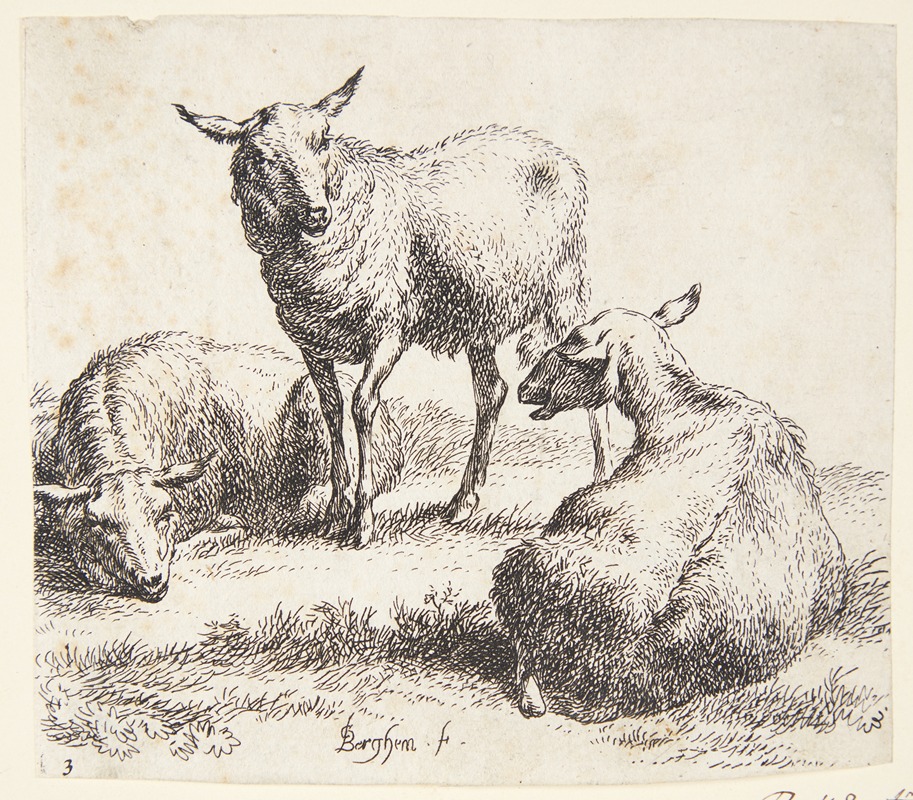 Nicolaes Pietersz. Berchem - To liggende og et stående får