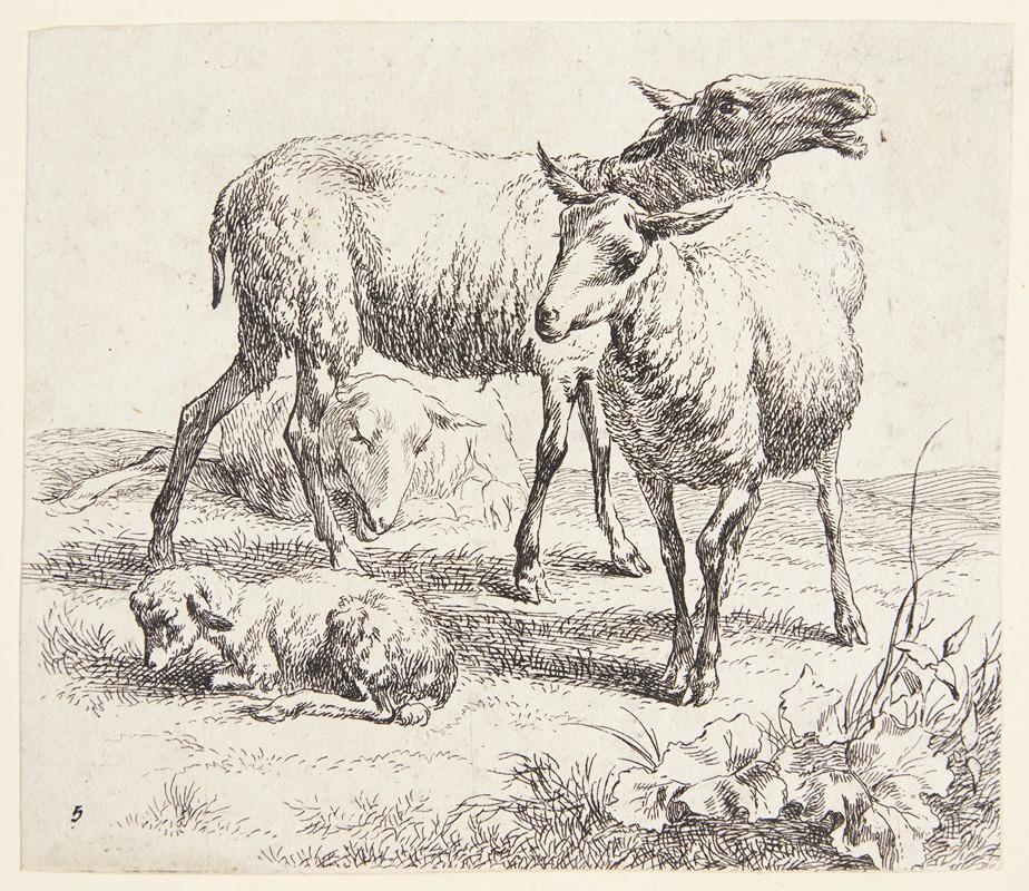 Nicolaes Pietersz. Berchem - To stående får og et lam