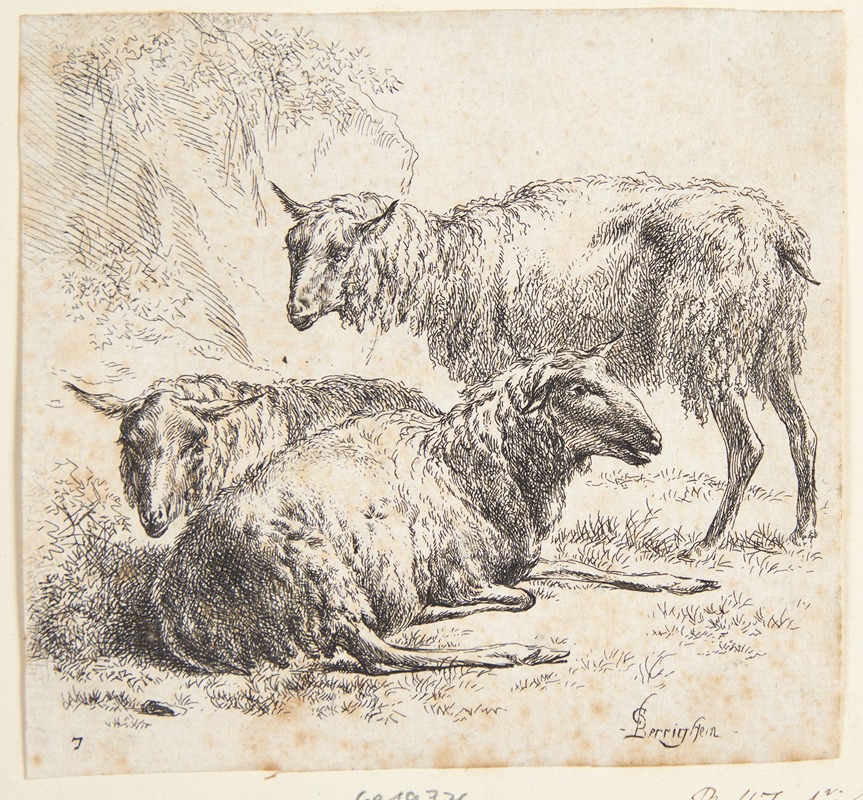 Nicolaes Pietersz. Berchem - Tre får