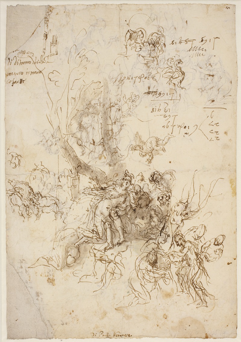 Paolo Veronese - Skitser til Adonis’ fødsel og Adonis’ død