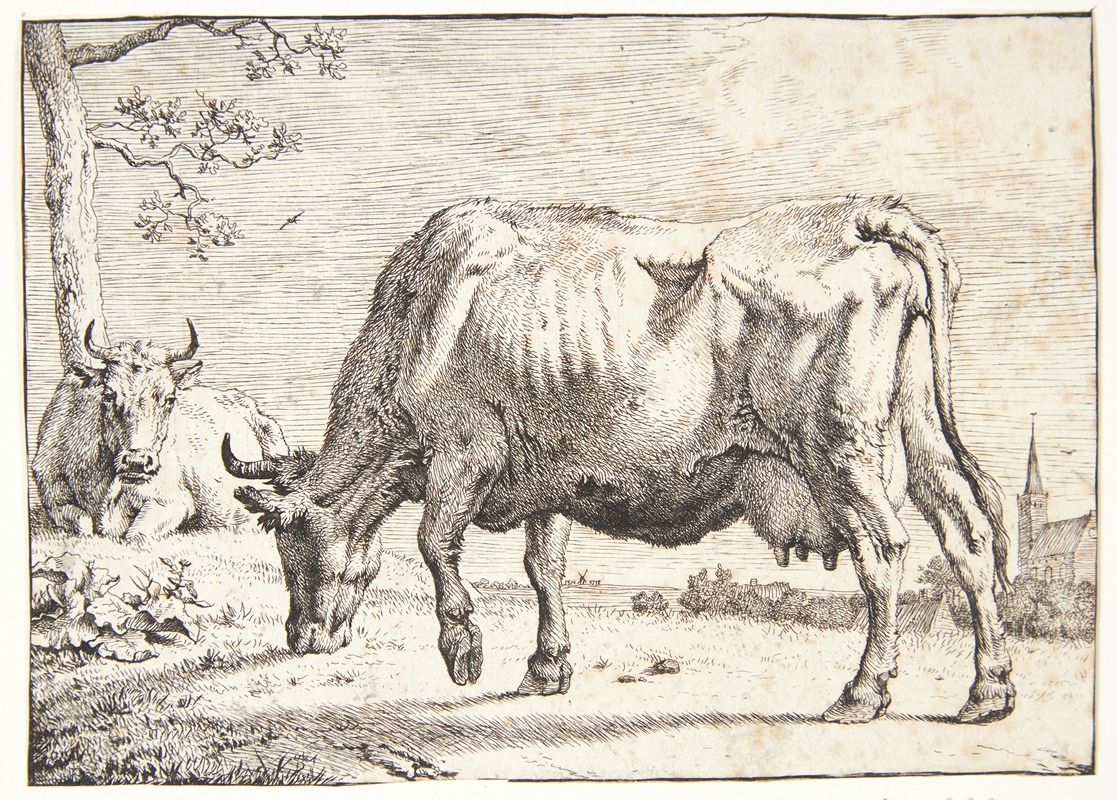 Paulus Potter - Græssende ko