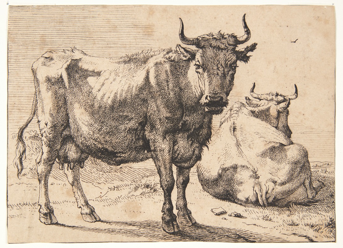 Paulus Potter - Stående og liggende ko