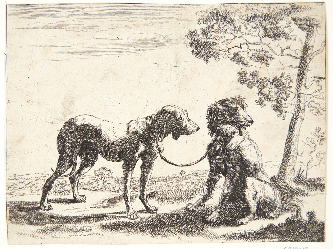 Paulus van Hillegaert II - To hunde bundet sammen