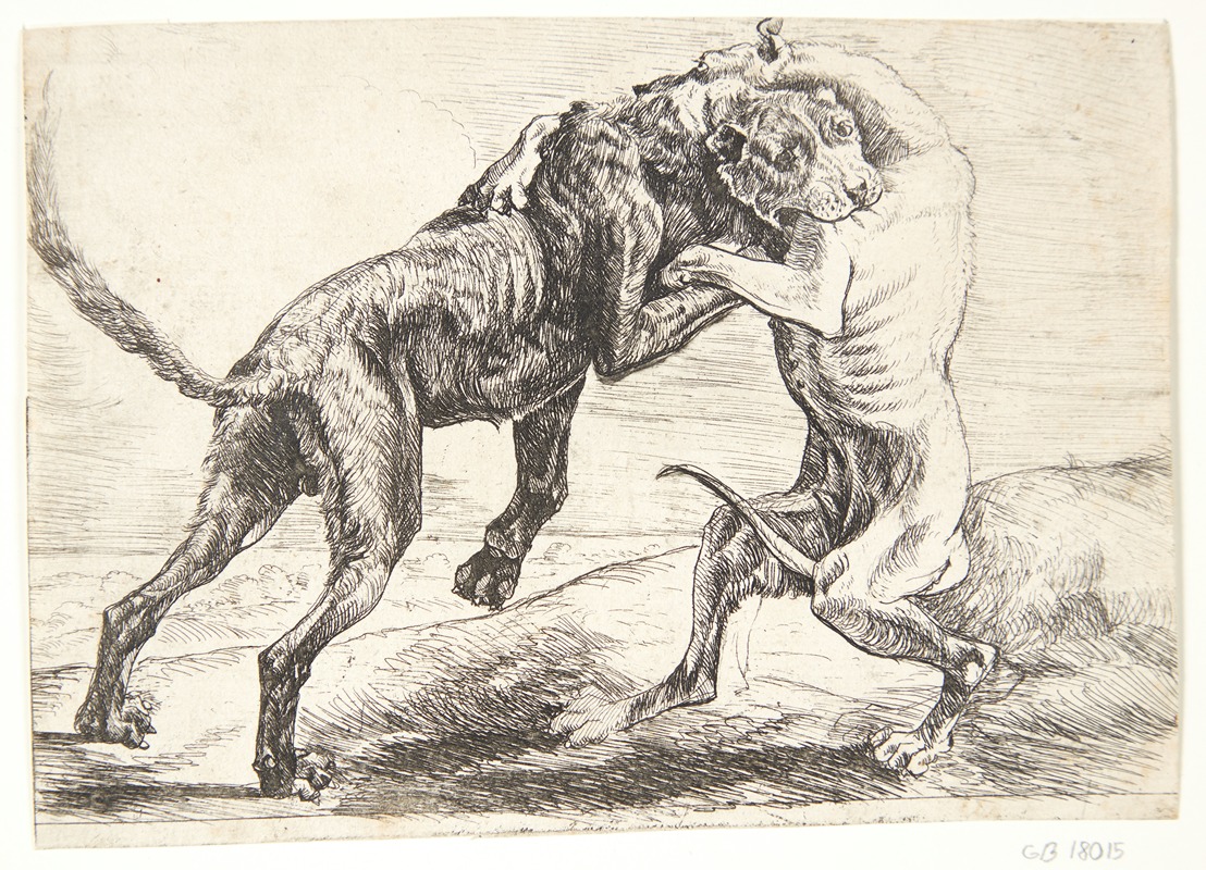 Paulus van Hillegaert II - To hunde der kæmper