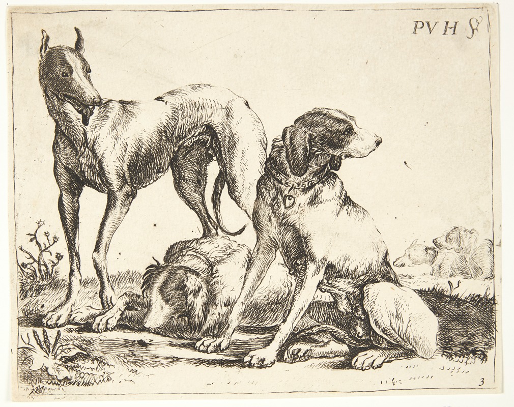 Paulus van Hillegaert II - Tre hunde