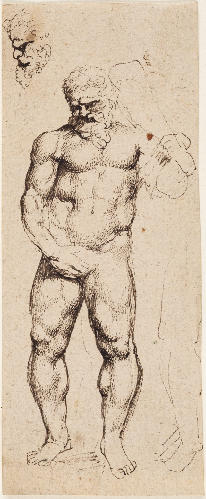Peter Paul Rubens - Hercules