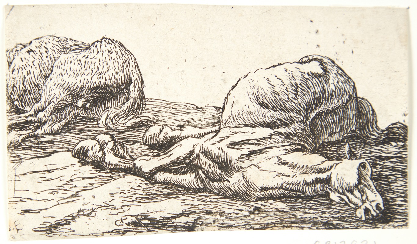 Pieter van Laer - To døde heste