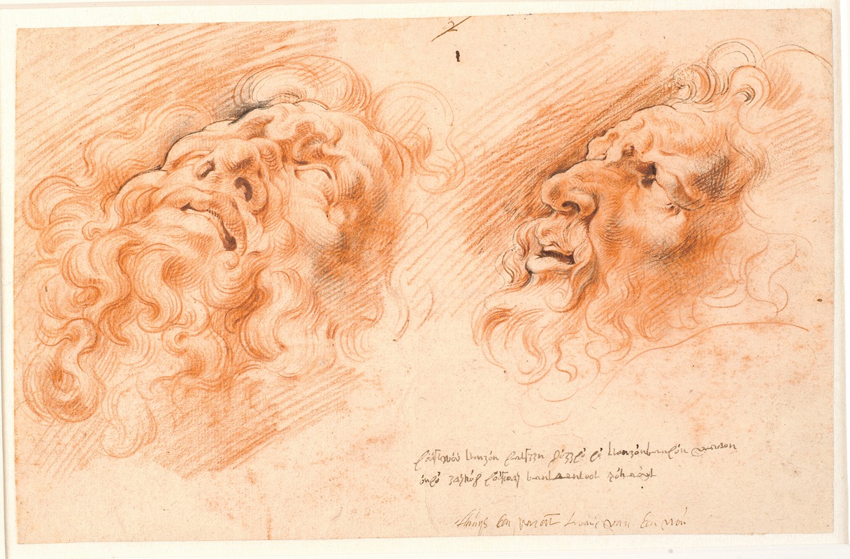 Willem Panneels - To studier af Laokoons hoved; det ene set en face, nedefra, det andet set i profil