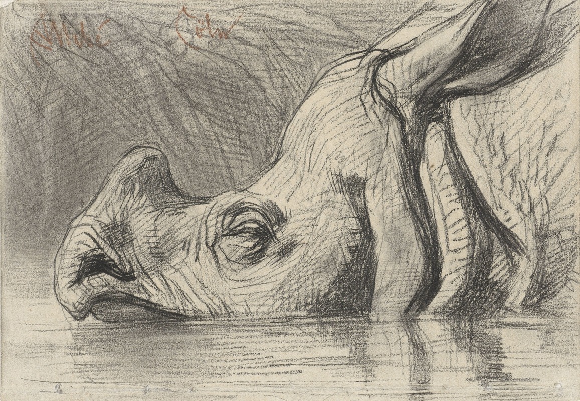 August Allebé - Head of a Rhinoceros, Half Submerged in the Water