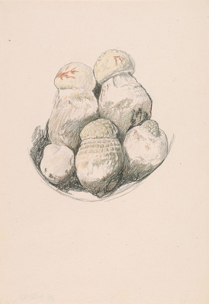 Elihu Vedder - Plate of Mushrooms