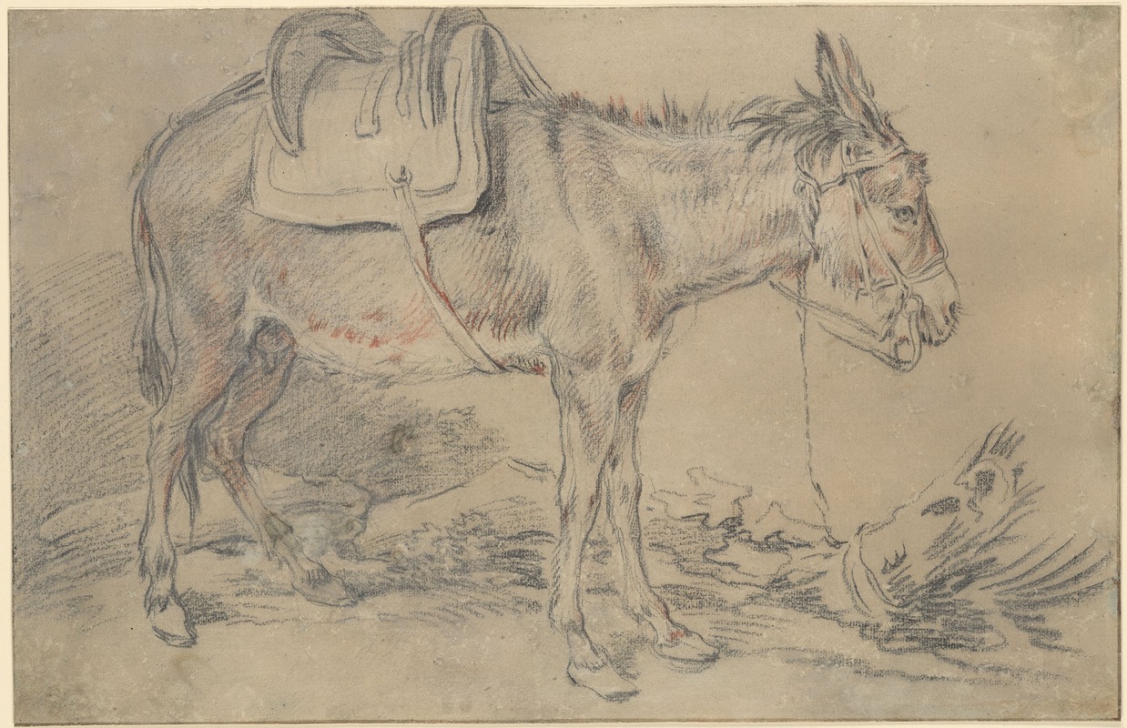 François Boucher - Saddled Donkey