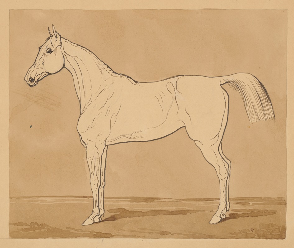 Friedrich Carl von Scheidlin - Study of a Horse II.