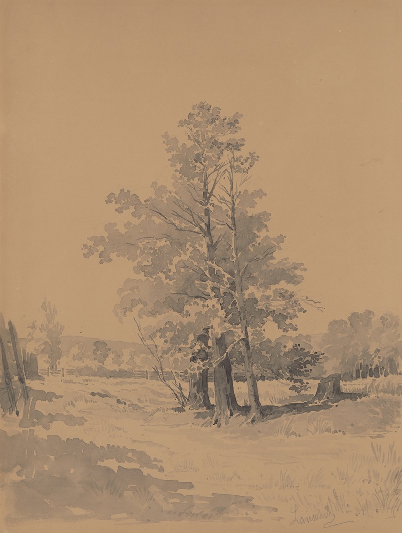 Friedrich Carl von Scheidlin - Trees at the Edge of the Forest