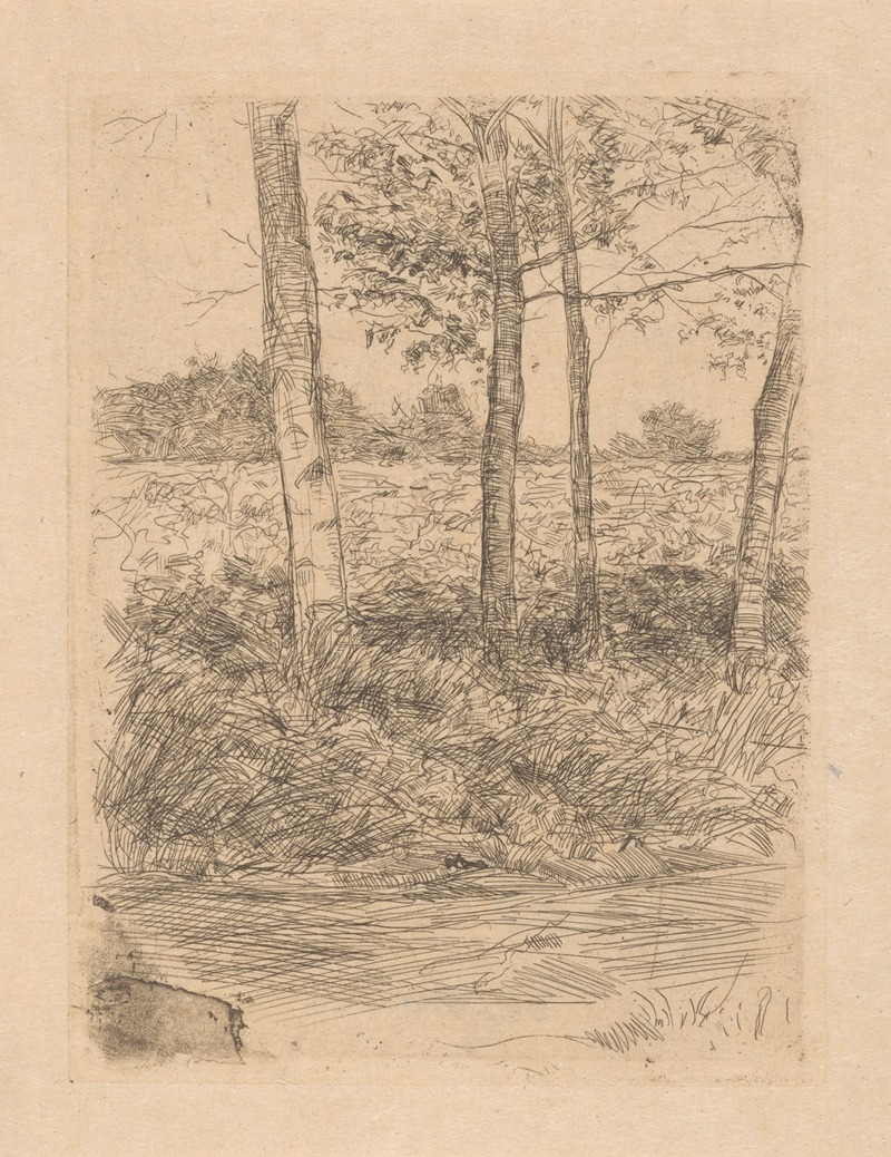 Jan Veth - Landweg met bomen, Bussum