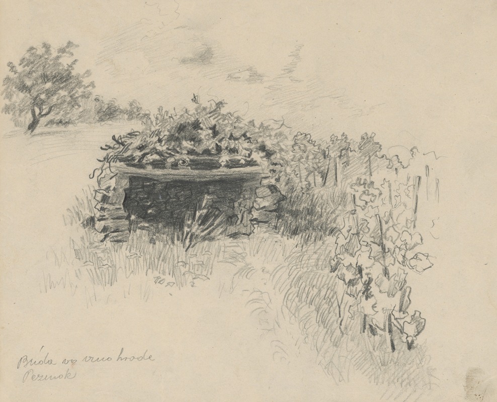 Štefan Polkoráb - Hut in the Vineyard