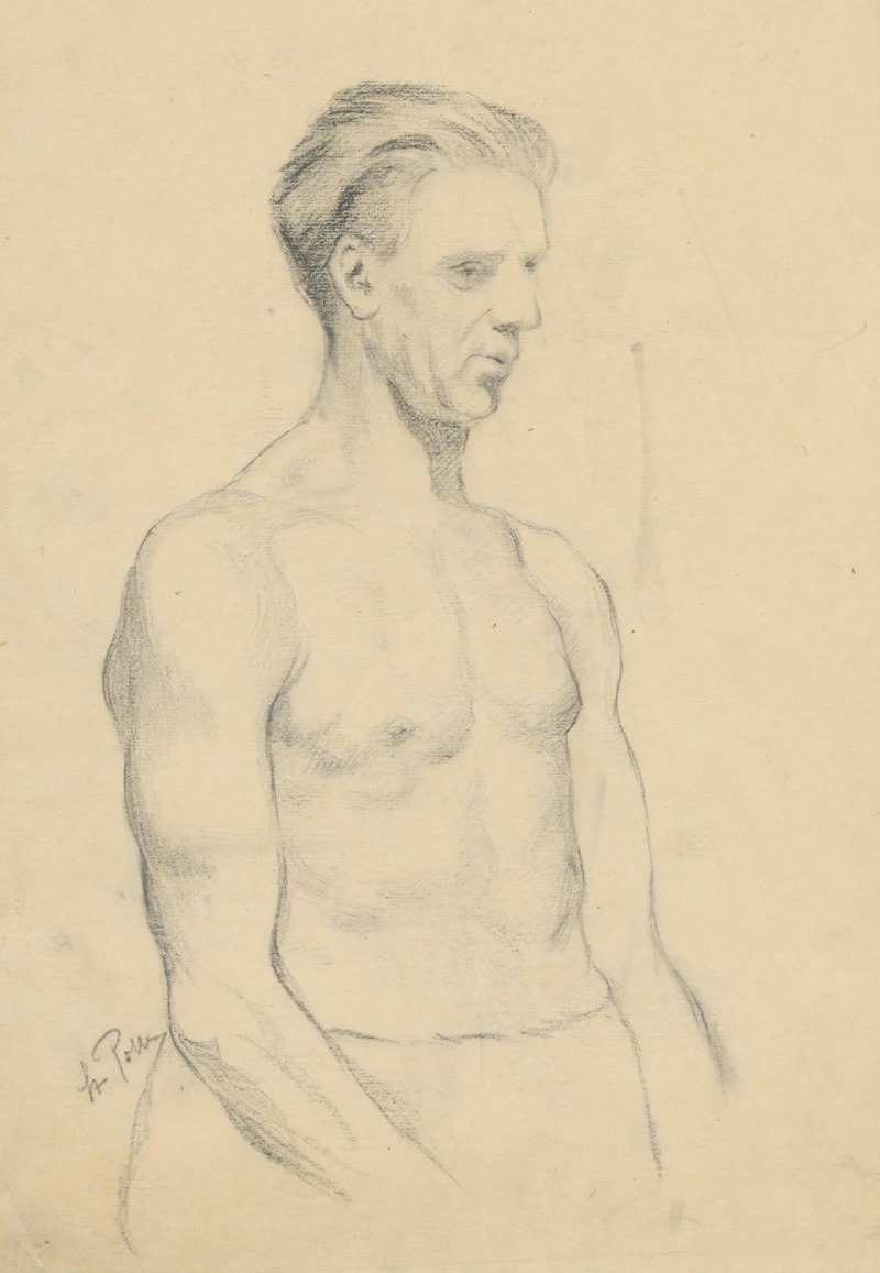 Štefan Polkoráb - Study of Male Nude – From Waist Up