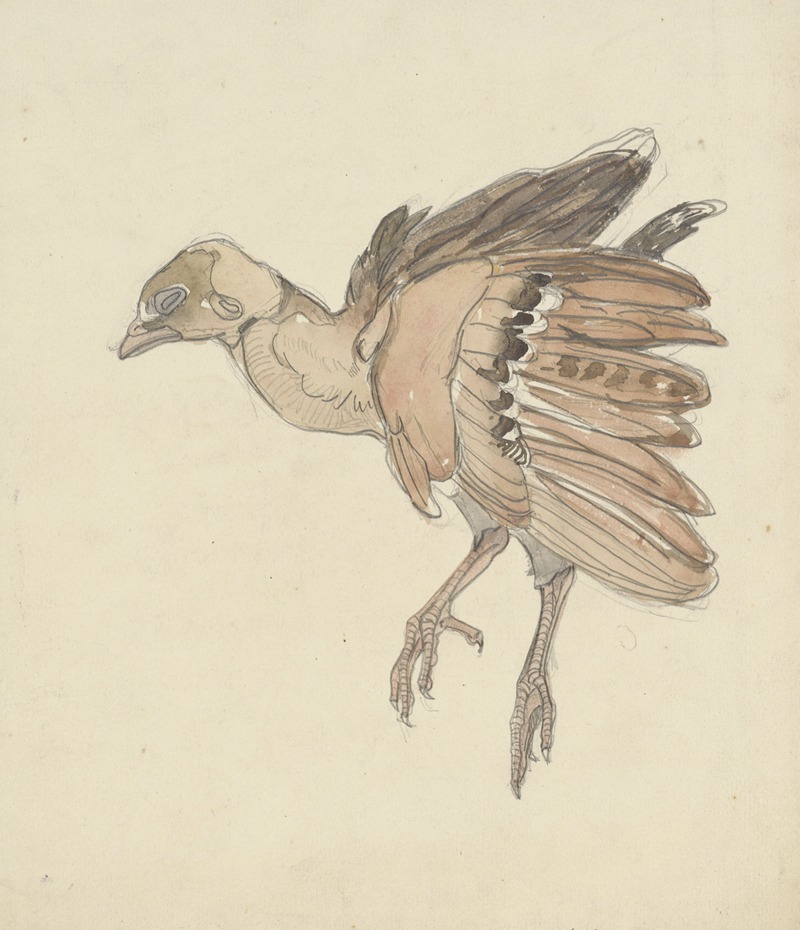 Theo van Hoytema - Dood vogeltje