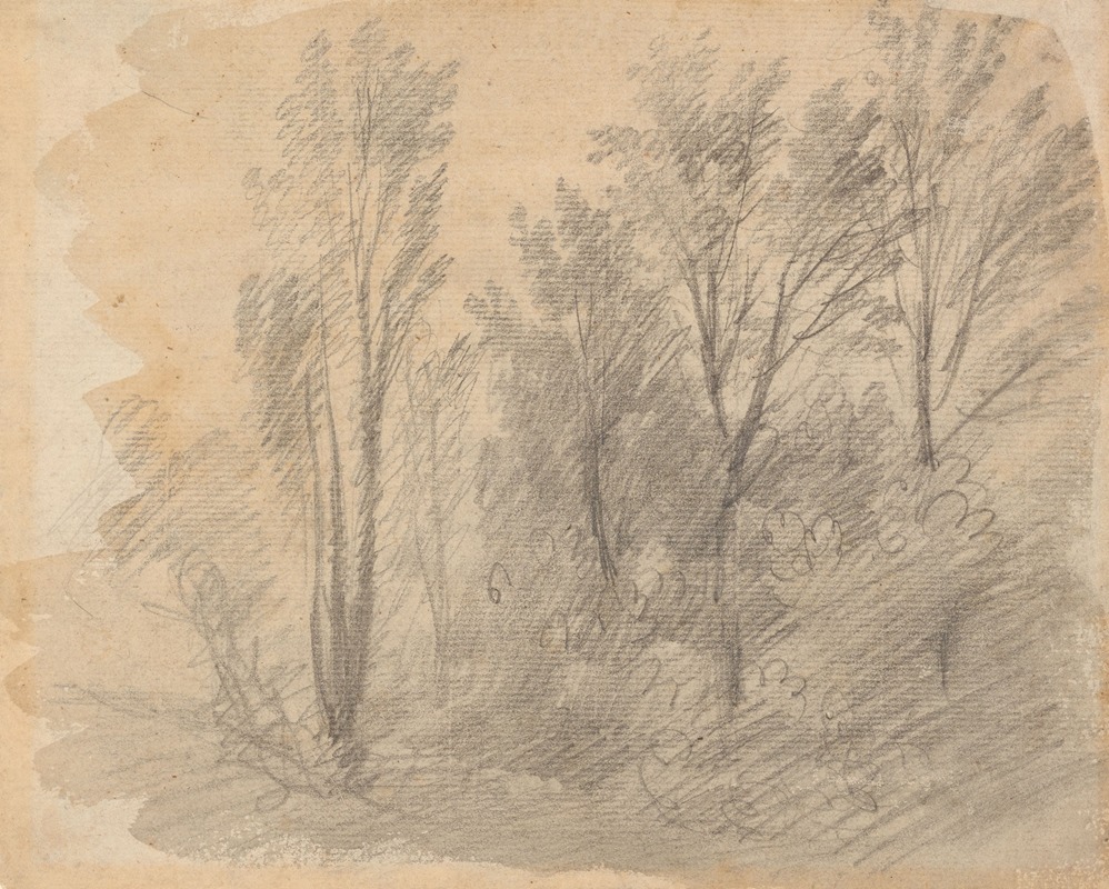 Thomas Gainsborough - Study of Trees