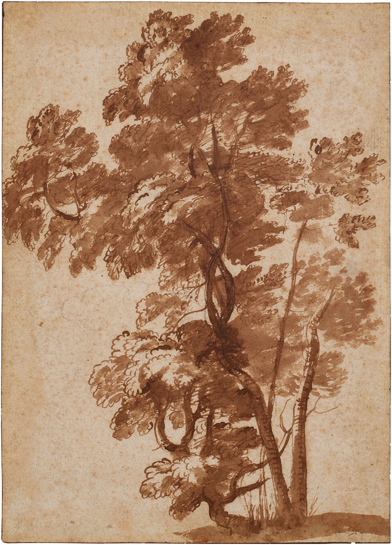 Claude Lorrain - A group of trees