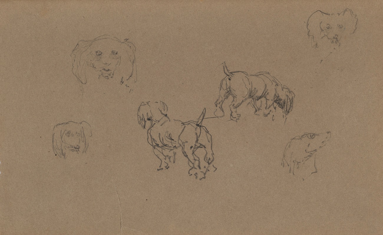 Henri de Toulouse-Lautrec - Études de chiens