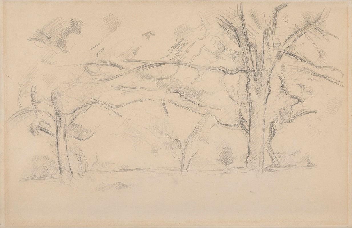 Paul Cézanne - Arbres