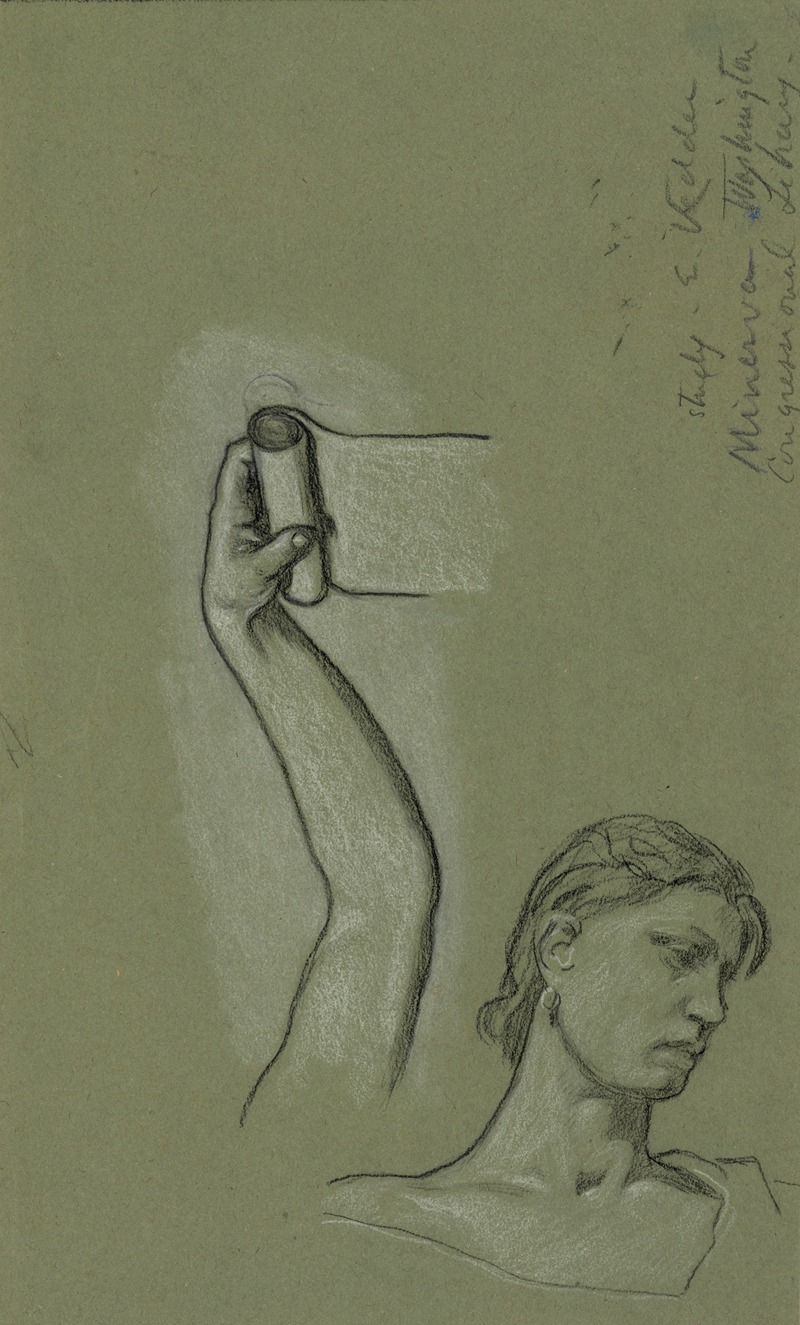 Elihu Vedder - Bust and shoulders of Minerva