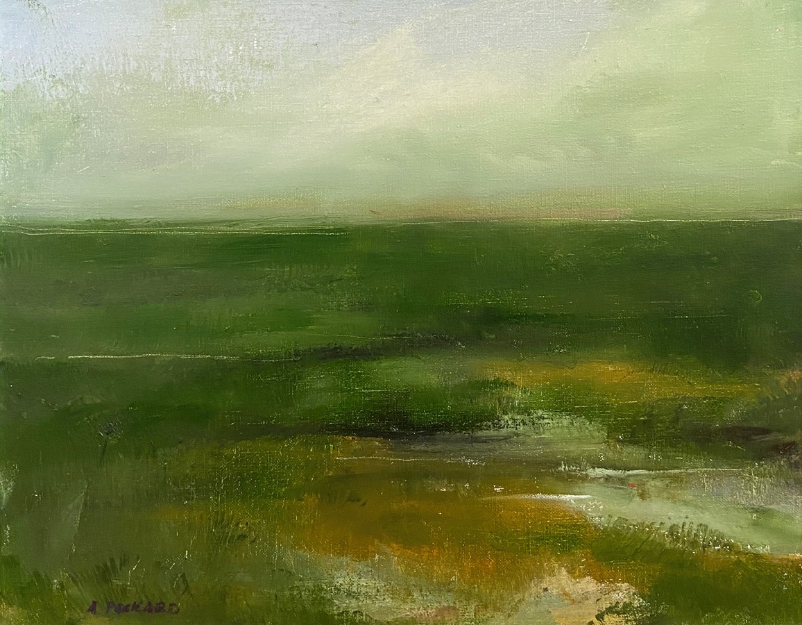 Anne Packard - Across the Marsh