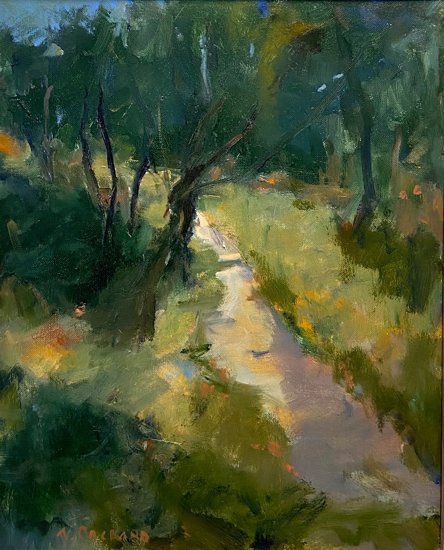 Anne Packard - Forest Path