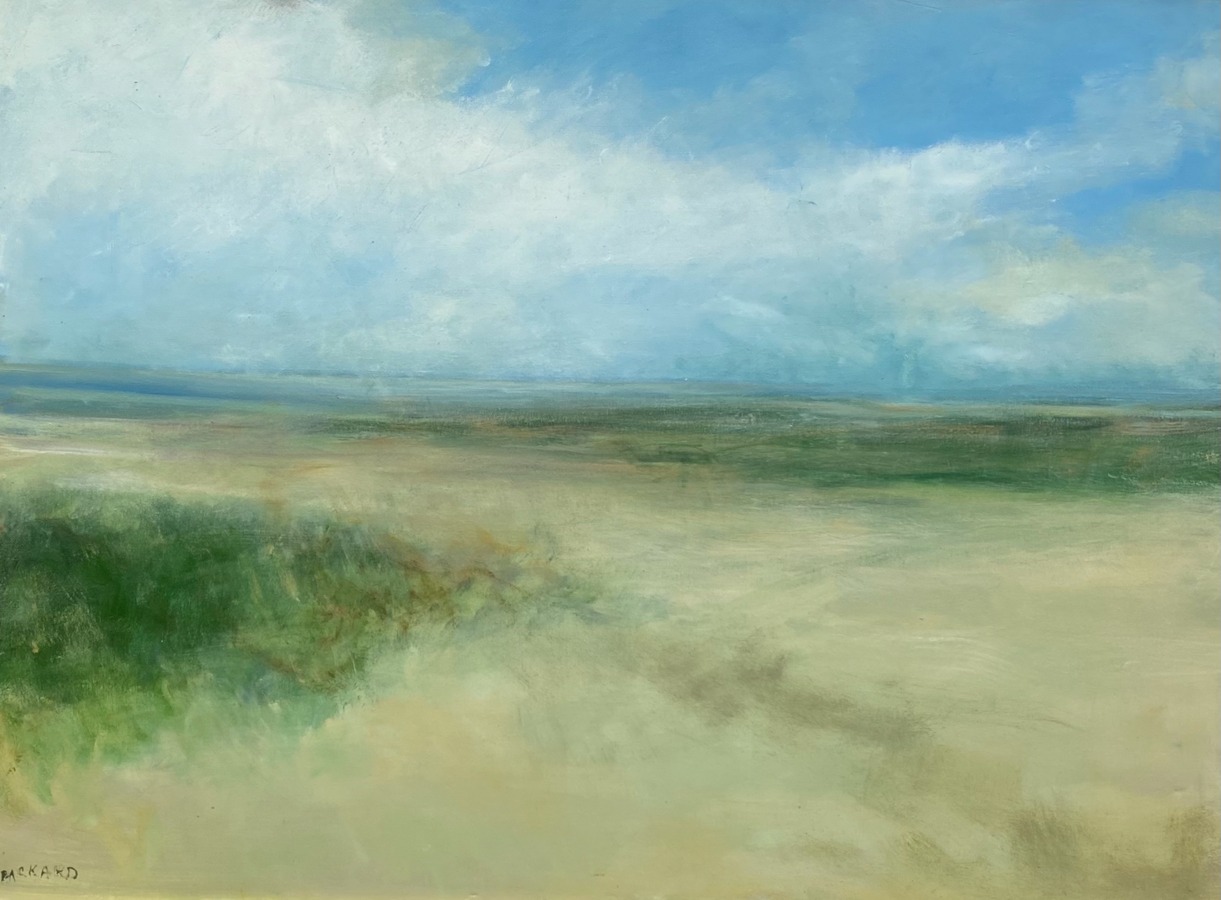 Anne Packard - Open Sky