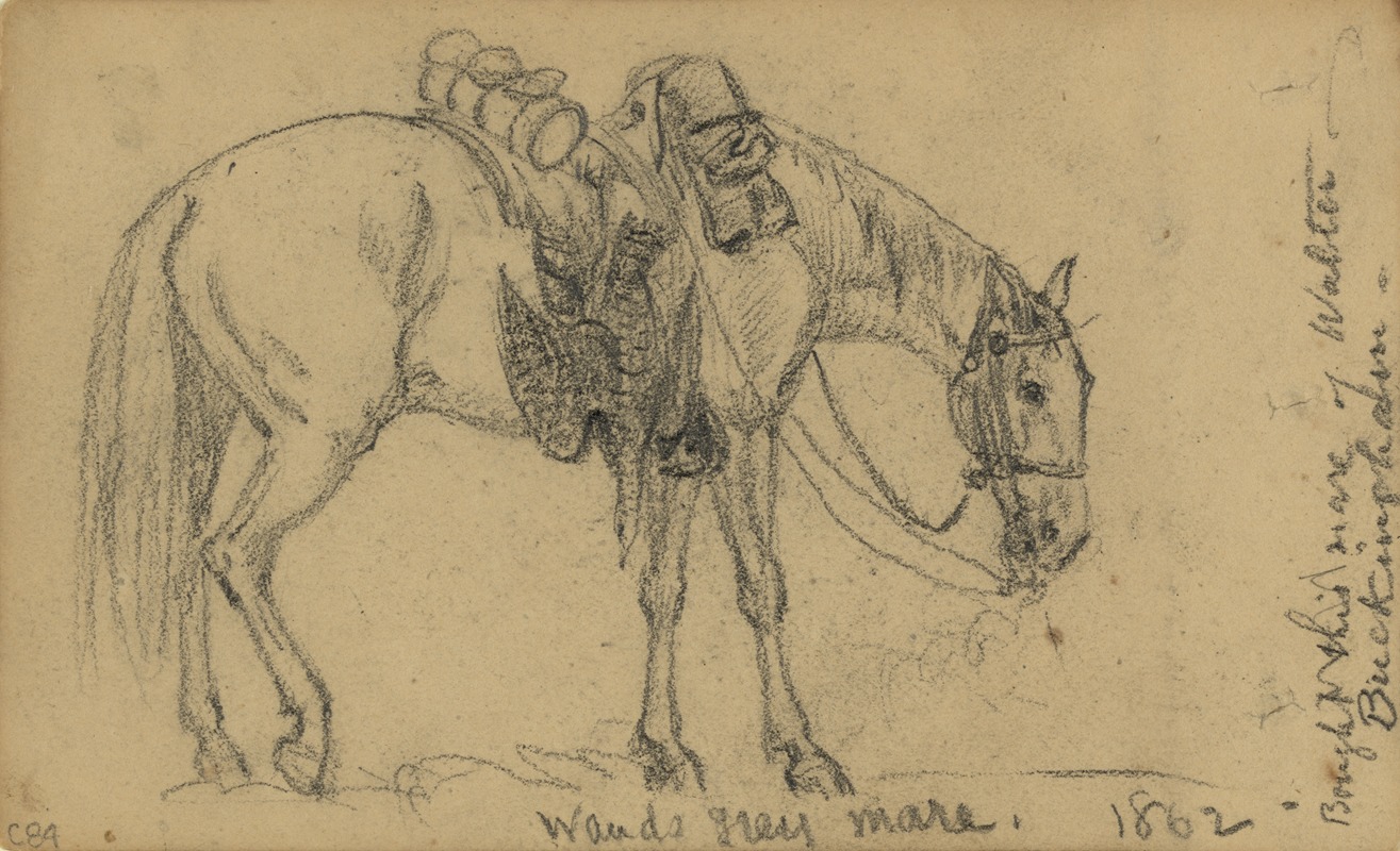 Alfred Rudolph Waud - Wauds grey mare