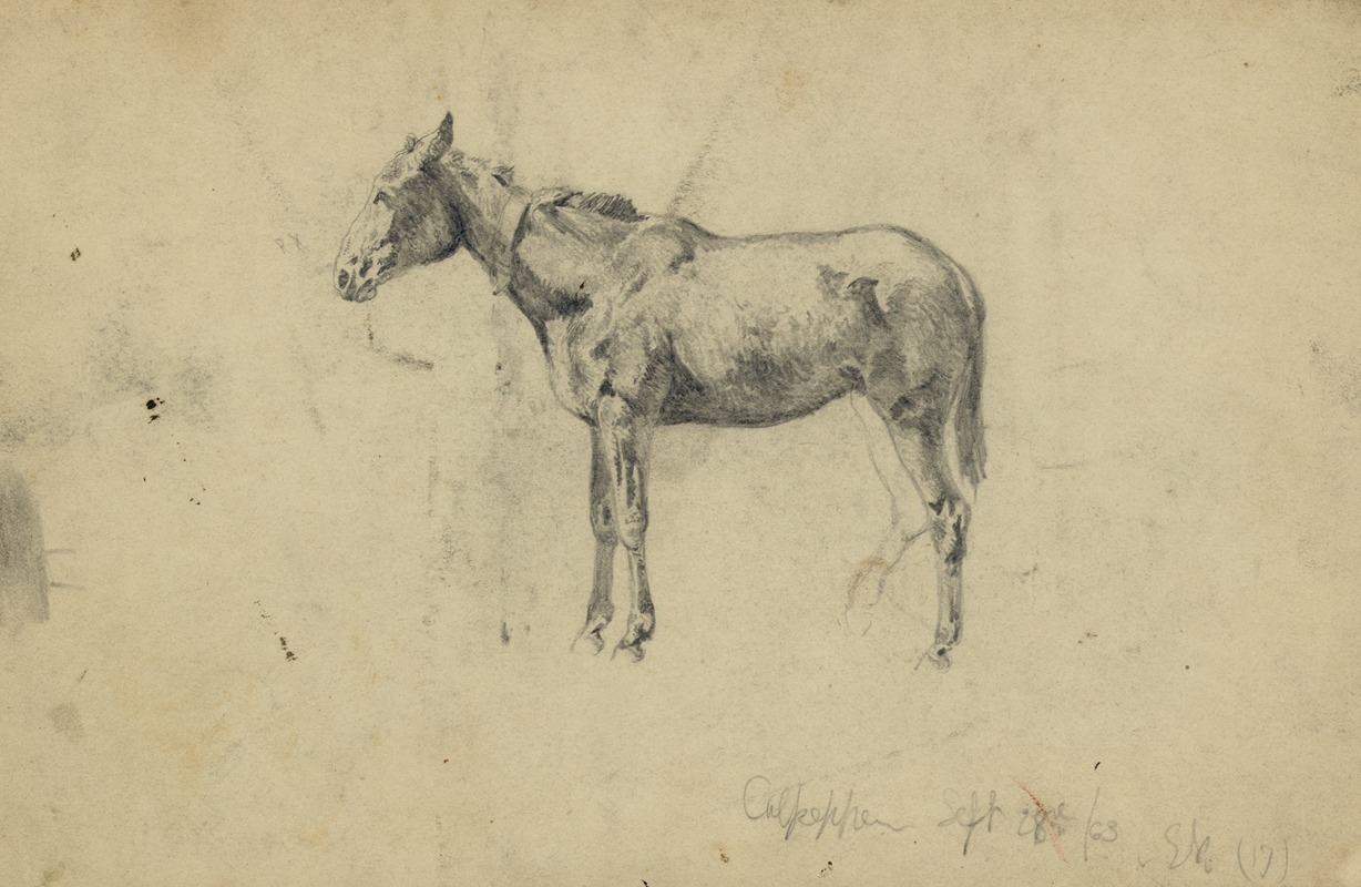 Edwin Forbes - An army mule. September 28, 1863